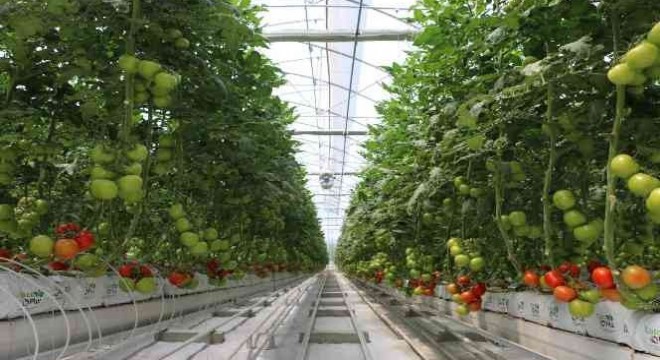 Anadolu coğrafyasının 'Beyaz Altını' jeotermal